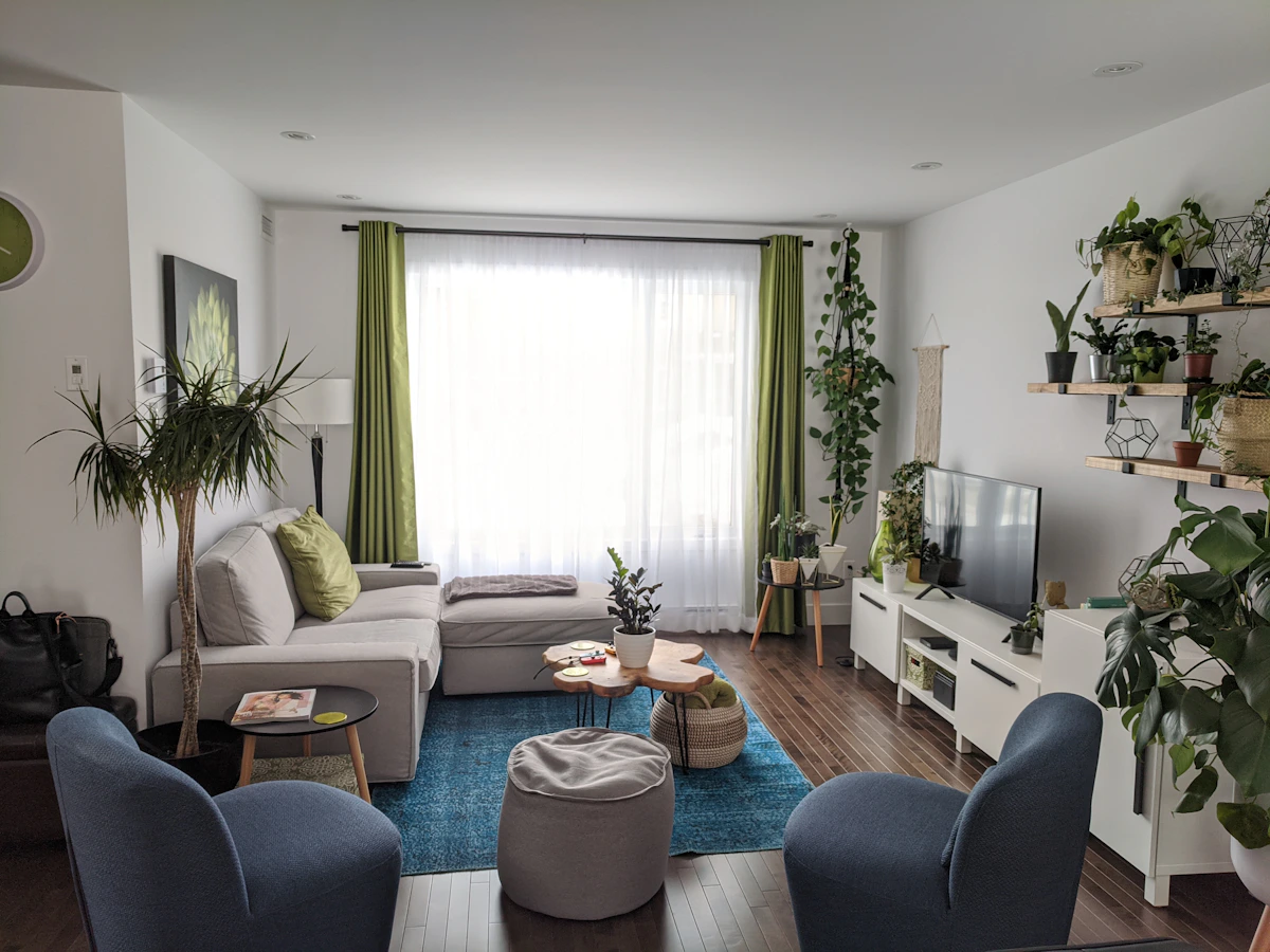A bright living room with plants and space to relax