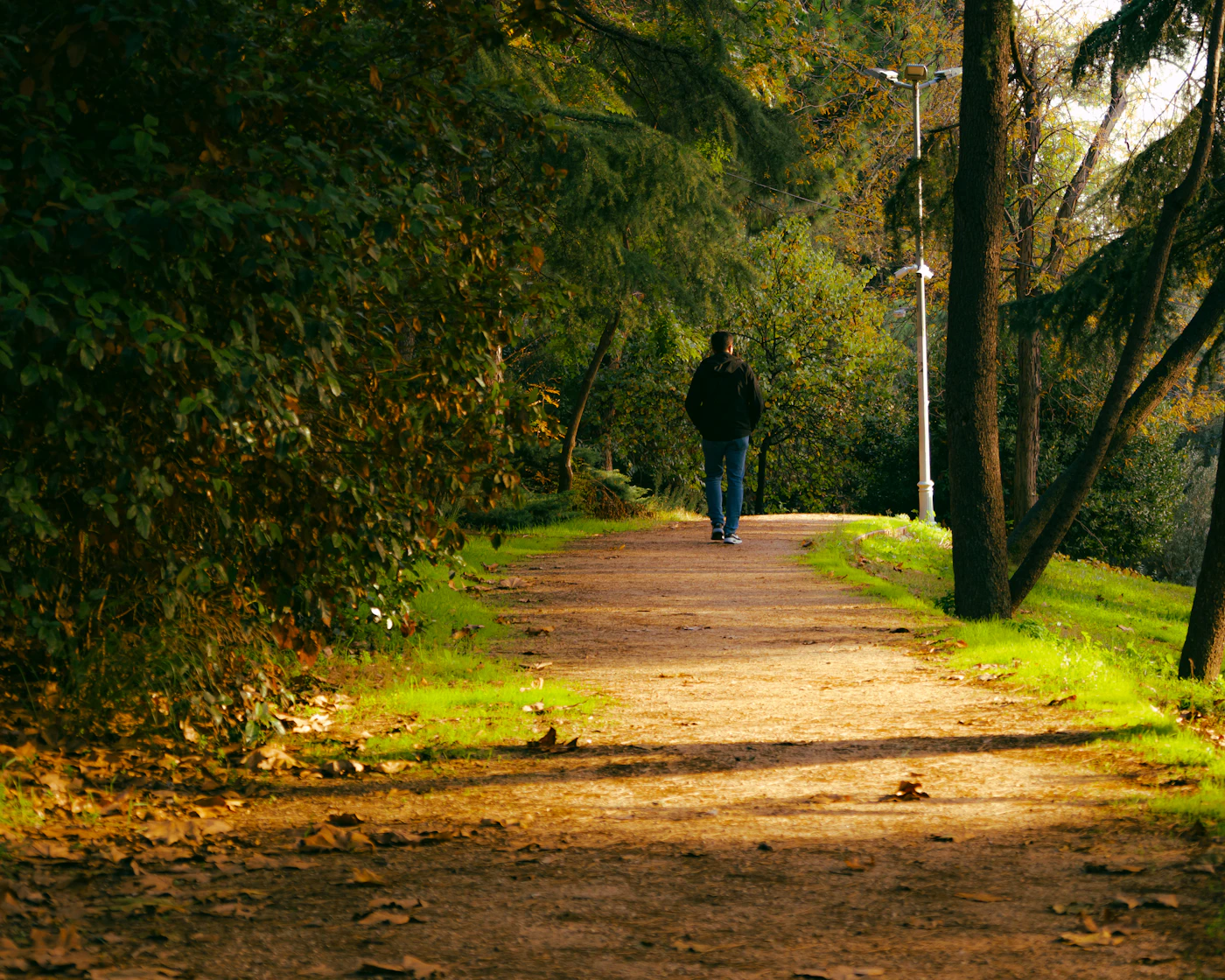 A person walking along a sunlit path through trees